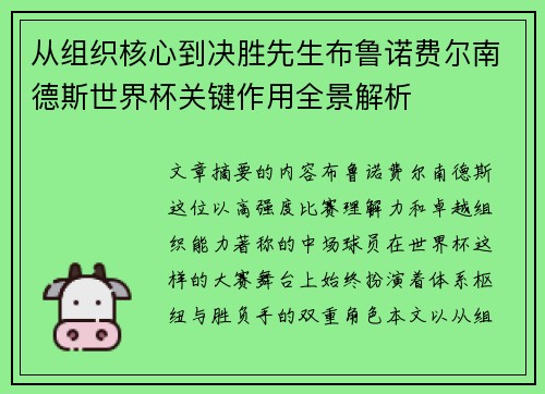 从组织核心到决胜先生布鲁诺费尔南德斯世界杯关键作用全景解析